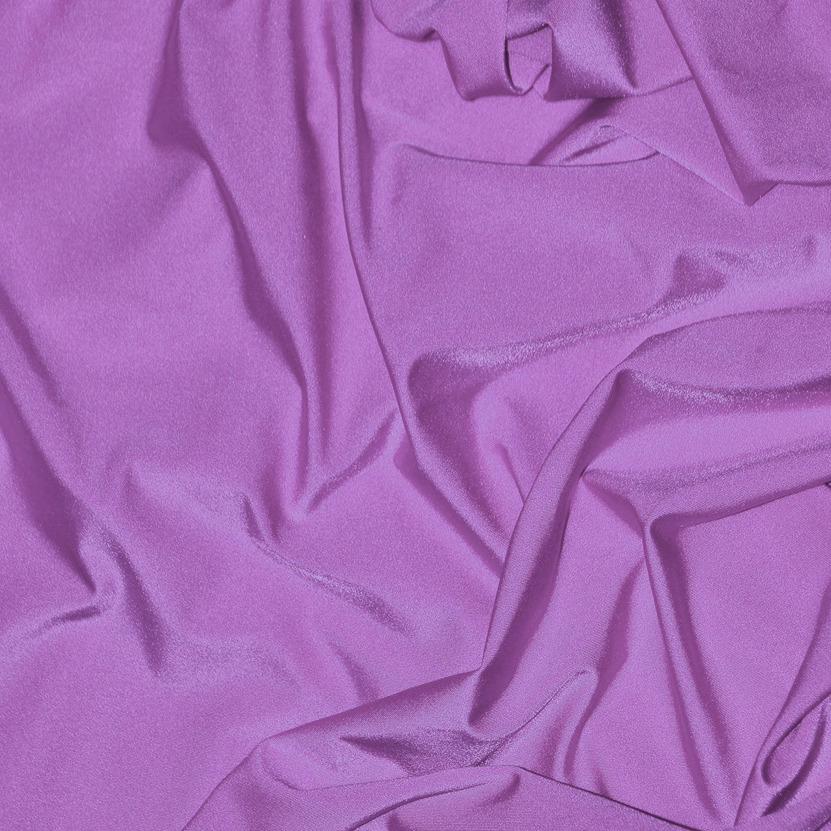 Lilac 29