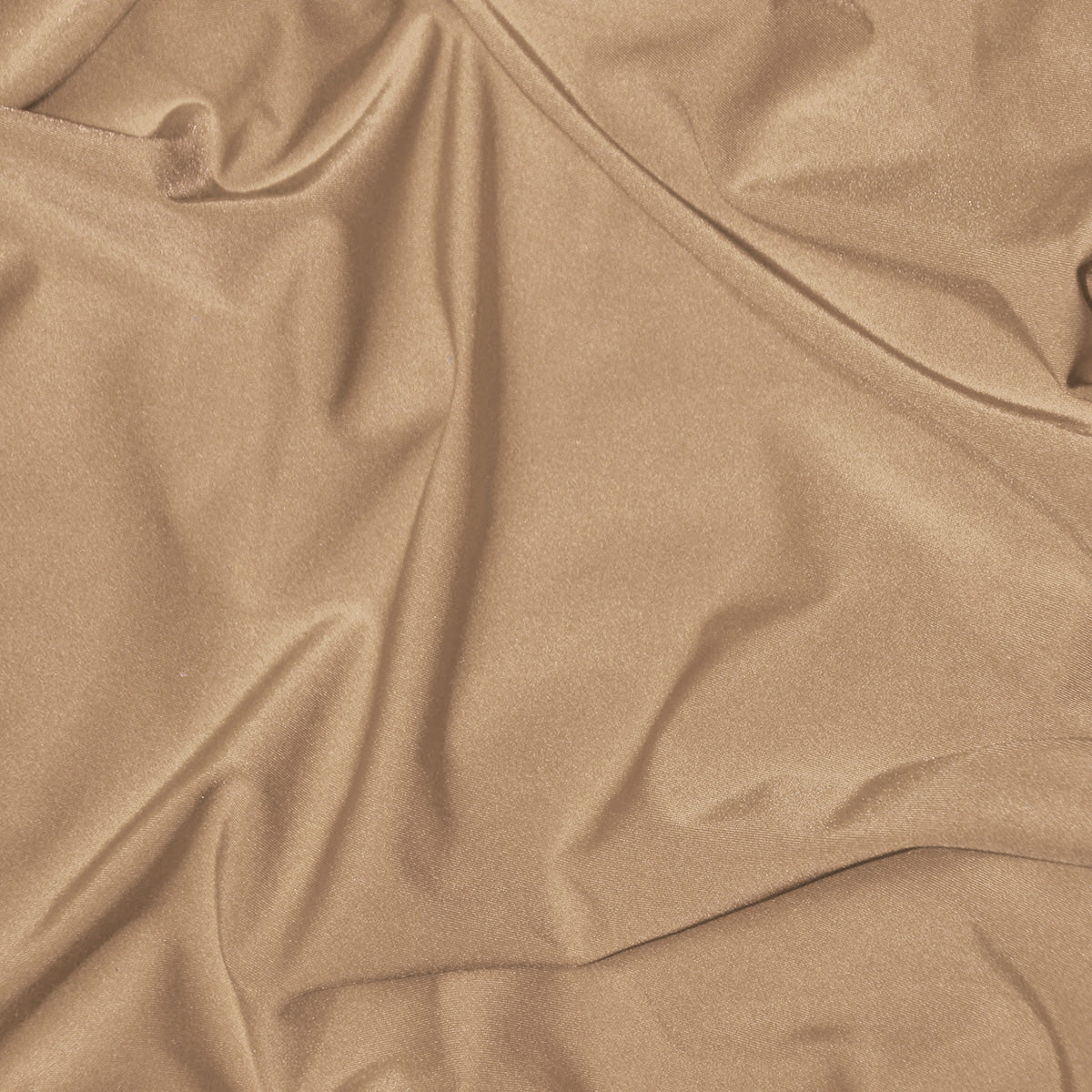 Taupe 19