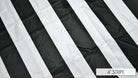 4" STRIPE