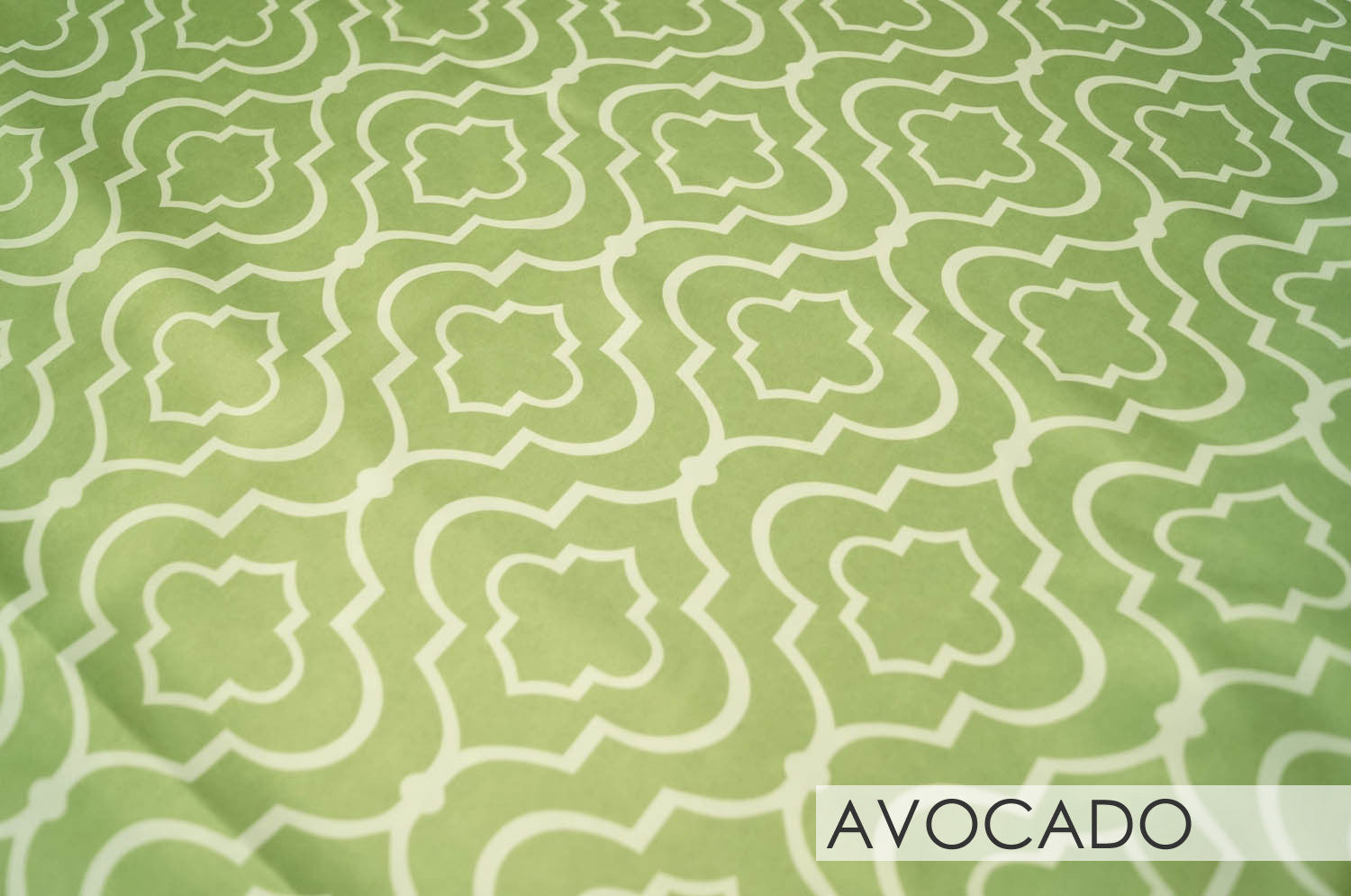 AVOCADO