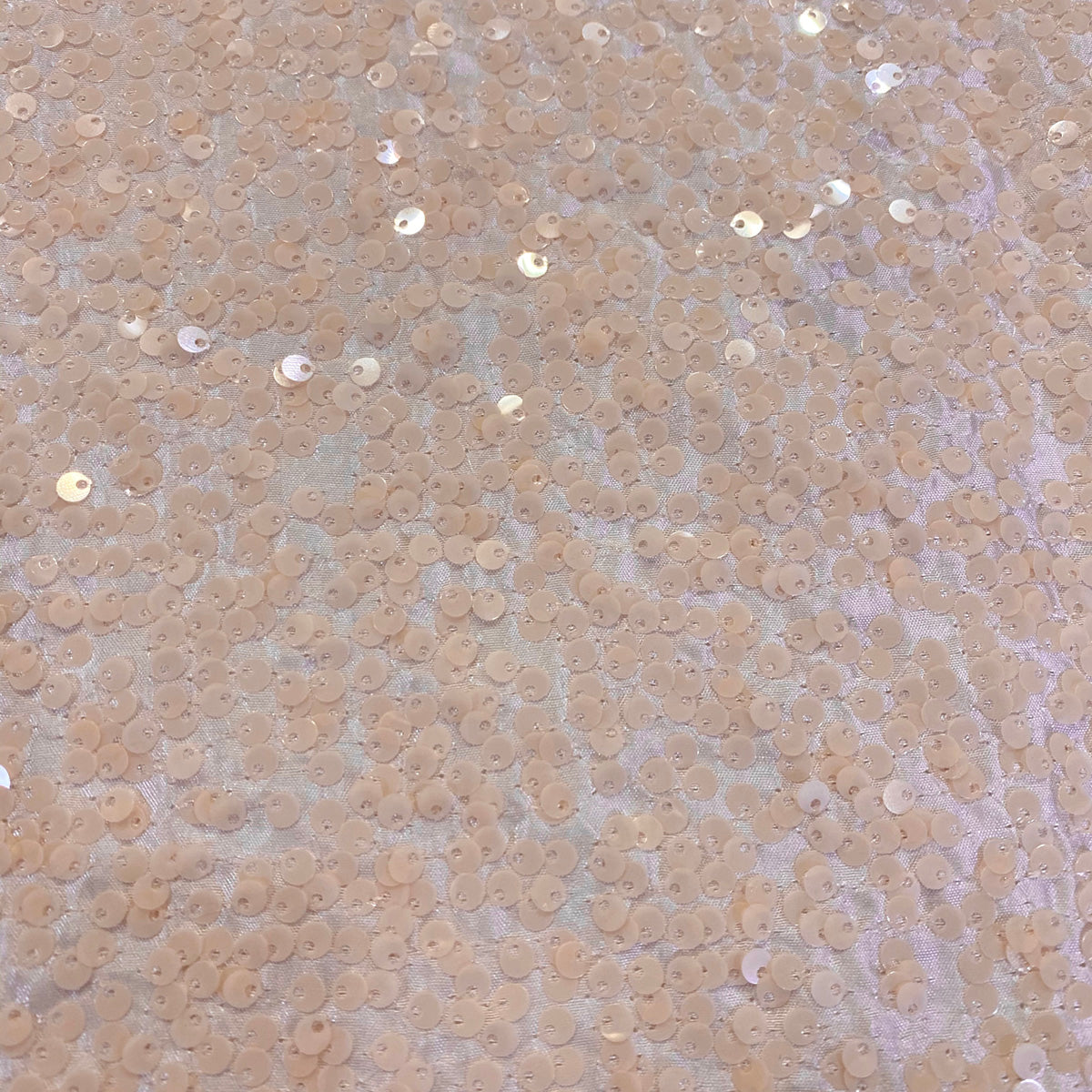 Blush Transparent