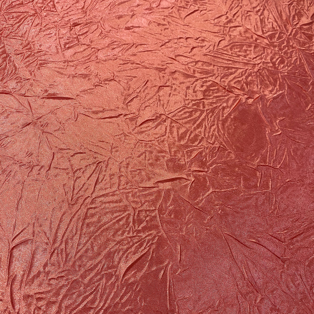 Coral 201