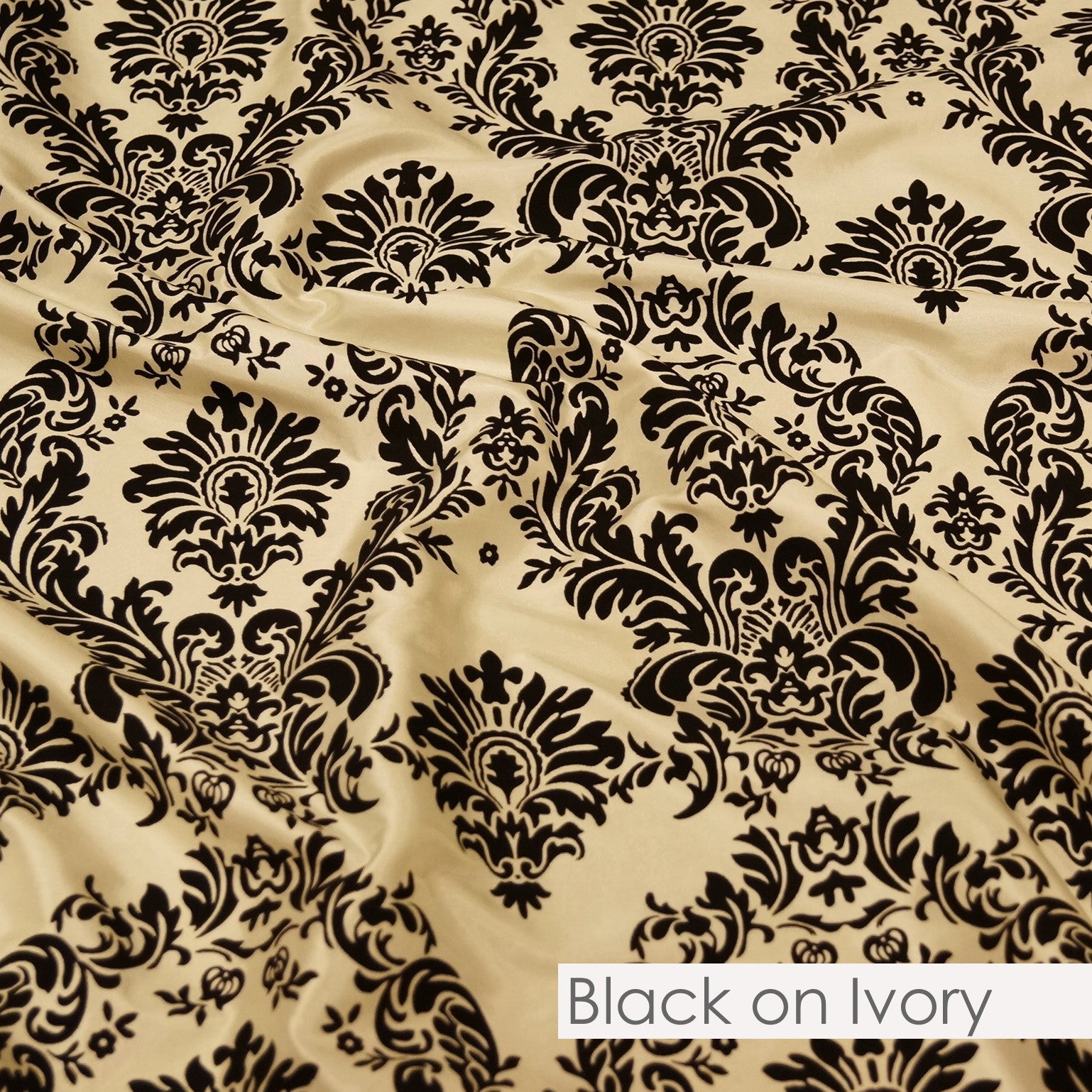 BLACK ON IVORY