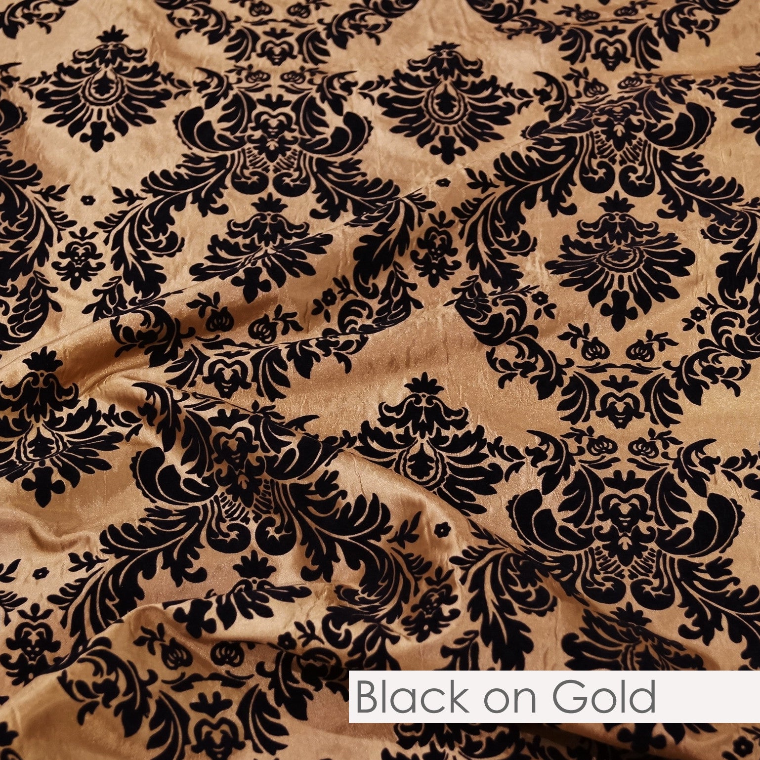 BLACK ON GOLD