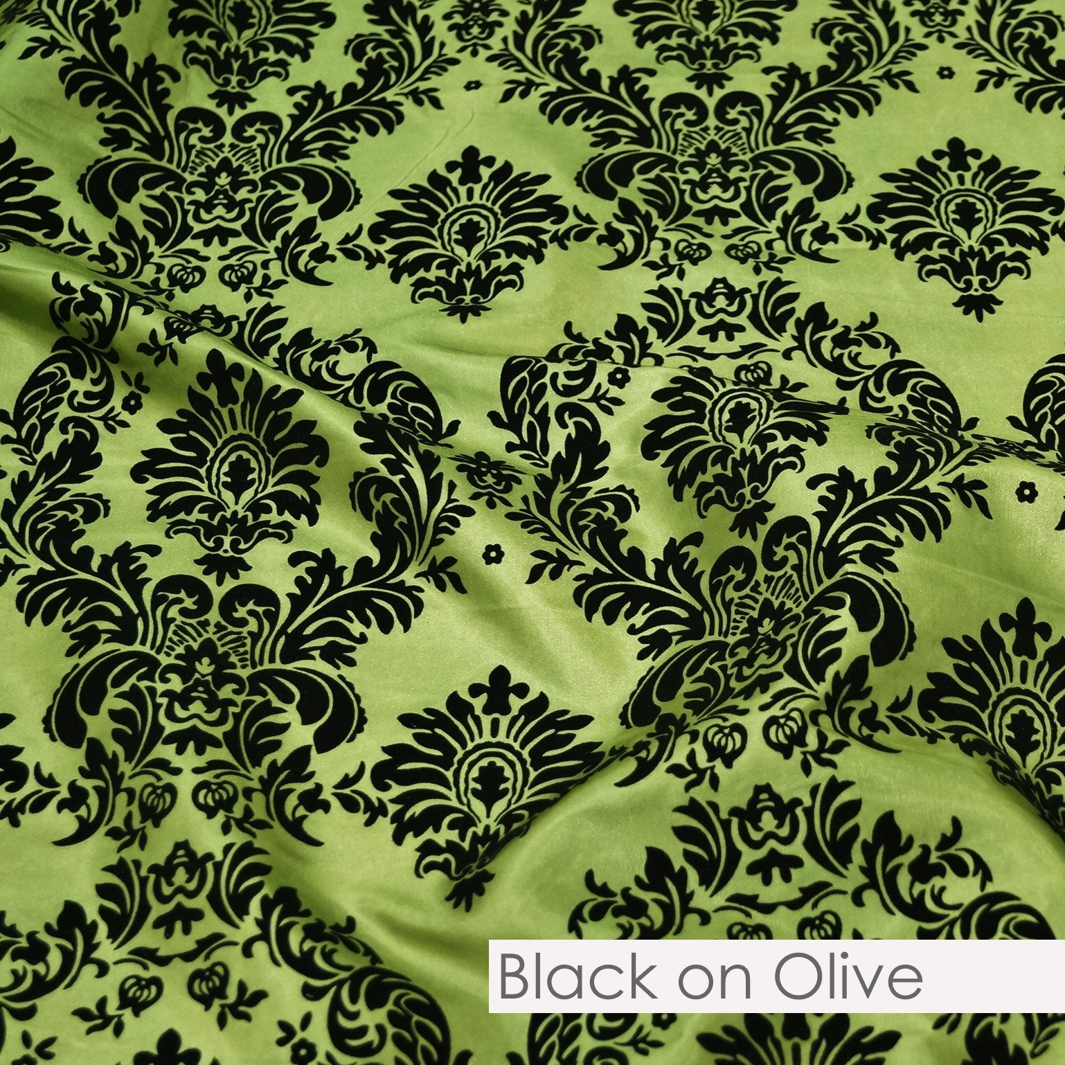 BLACK ON OLIVE