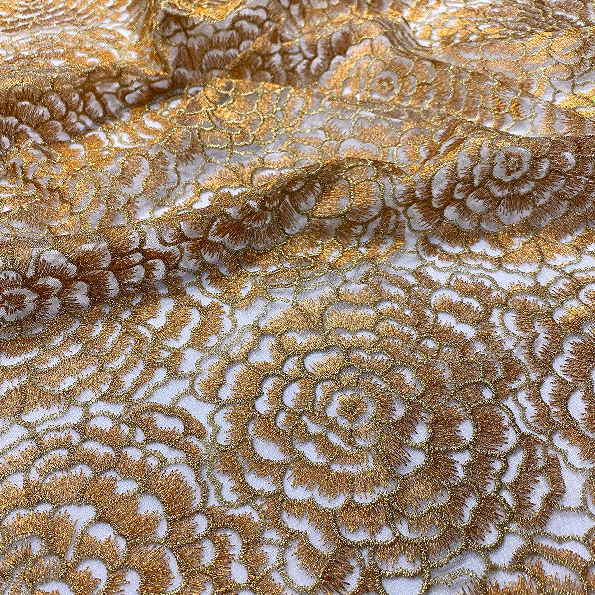 Dk Gold