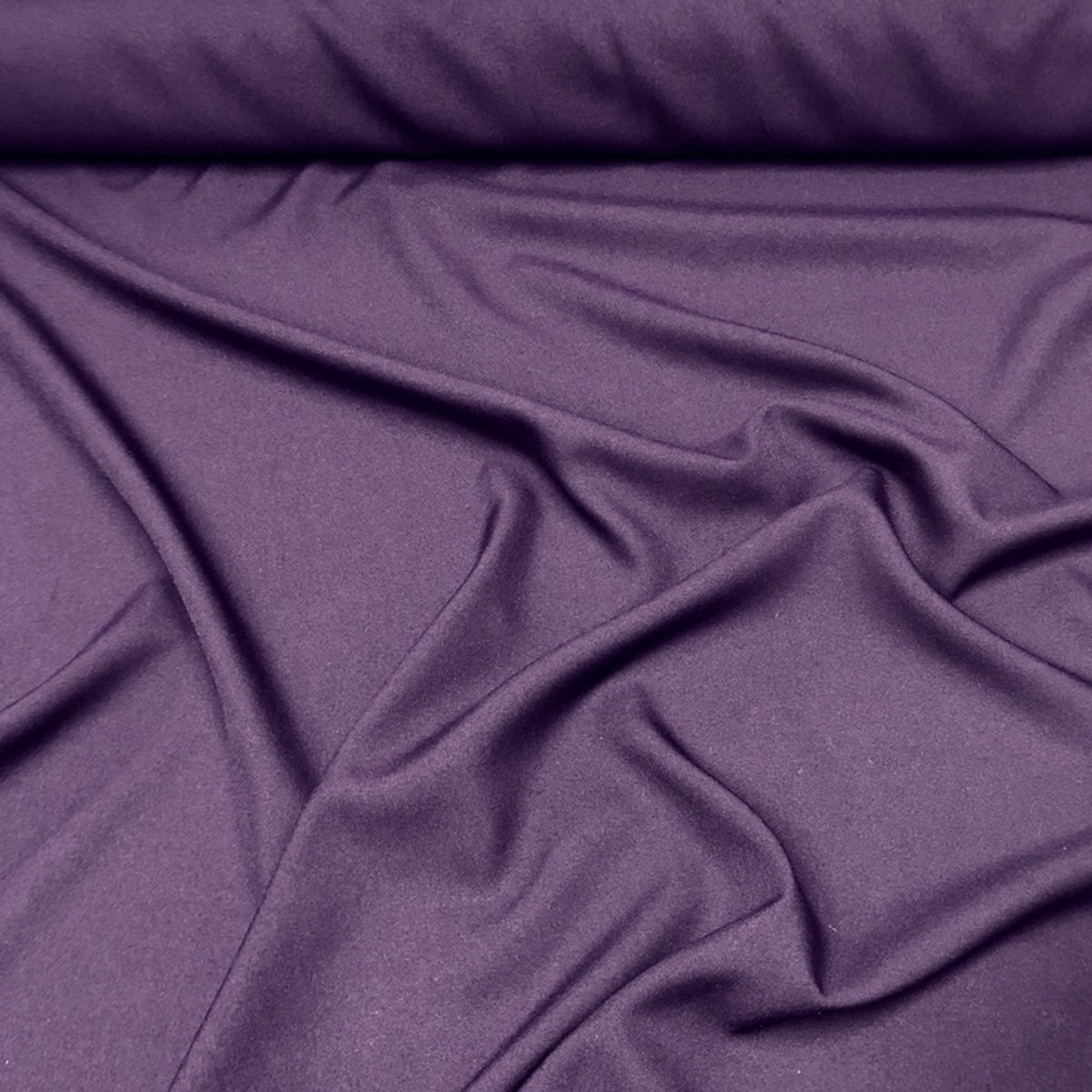 Eggplant 1389