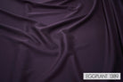 EGGPLANT 1389