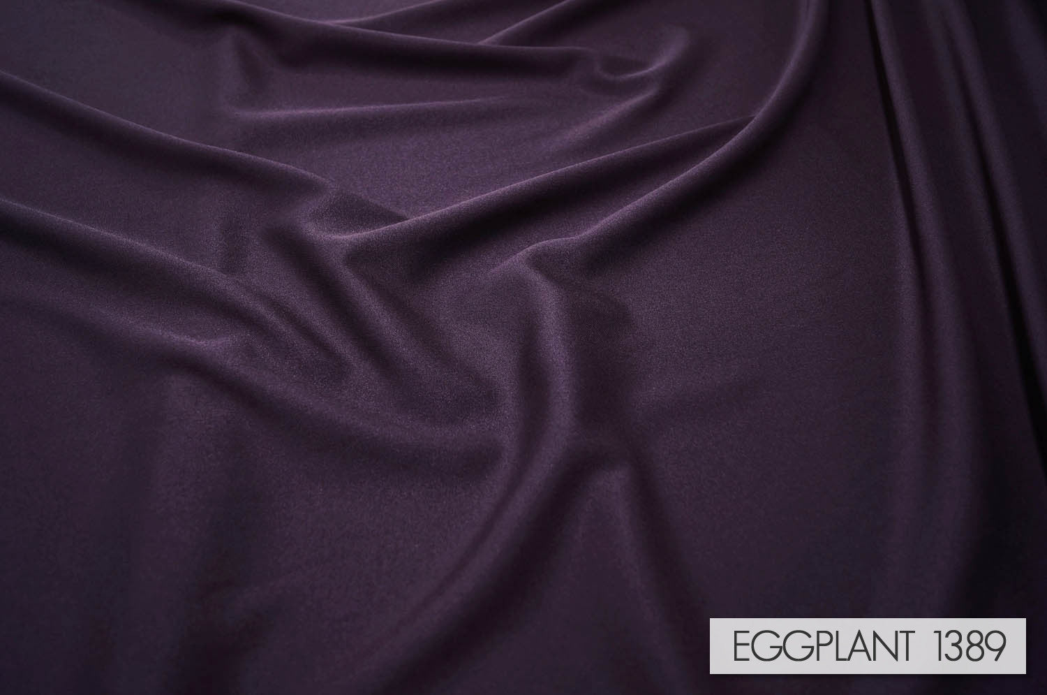 EGGPLANT 1389