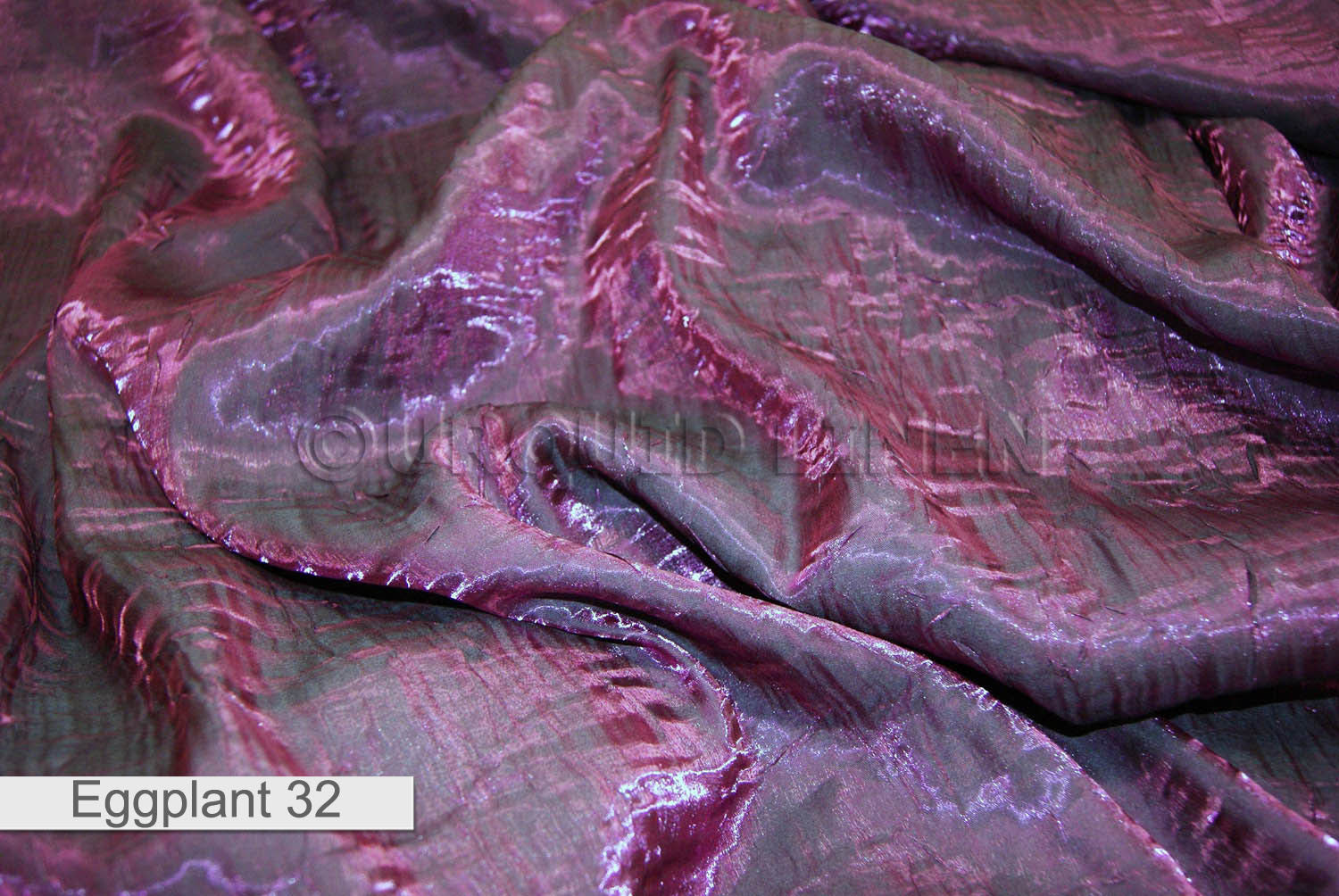 EGGPLANT 32