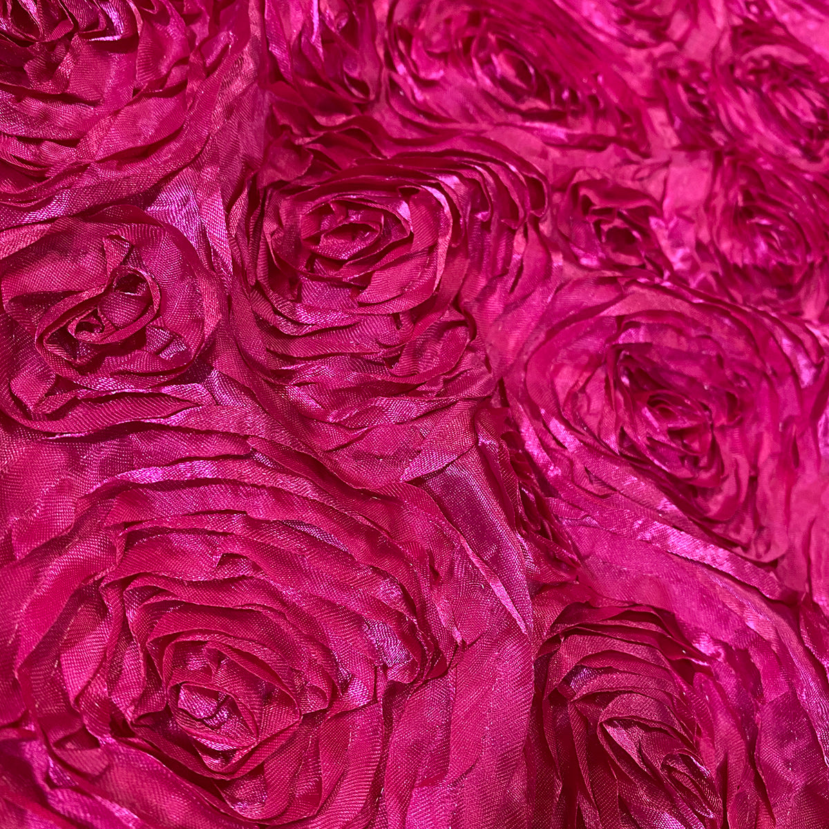 Fucshia