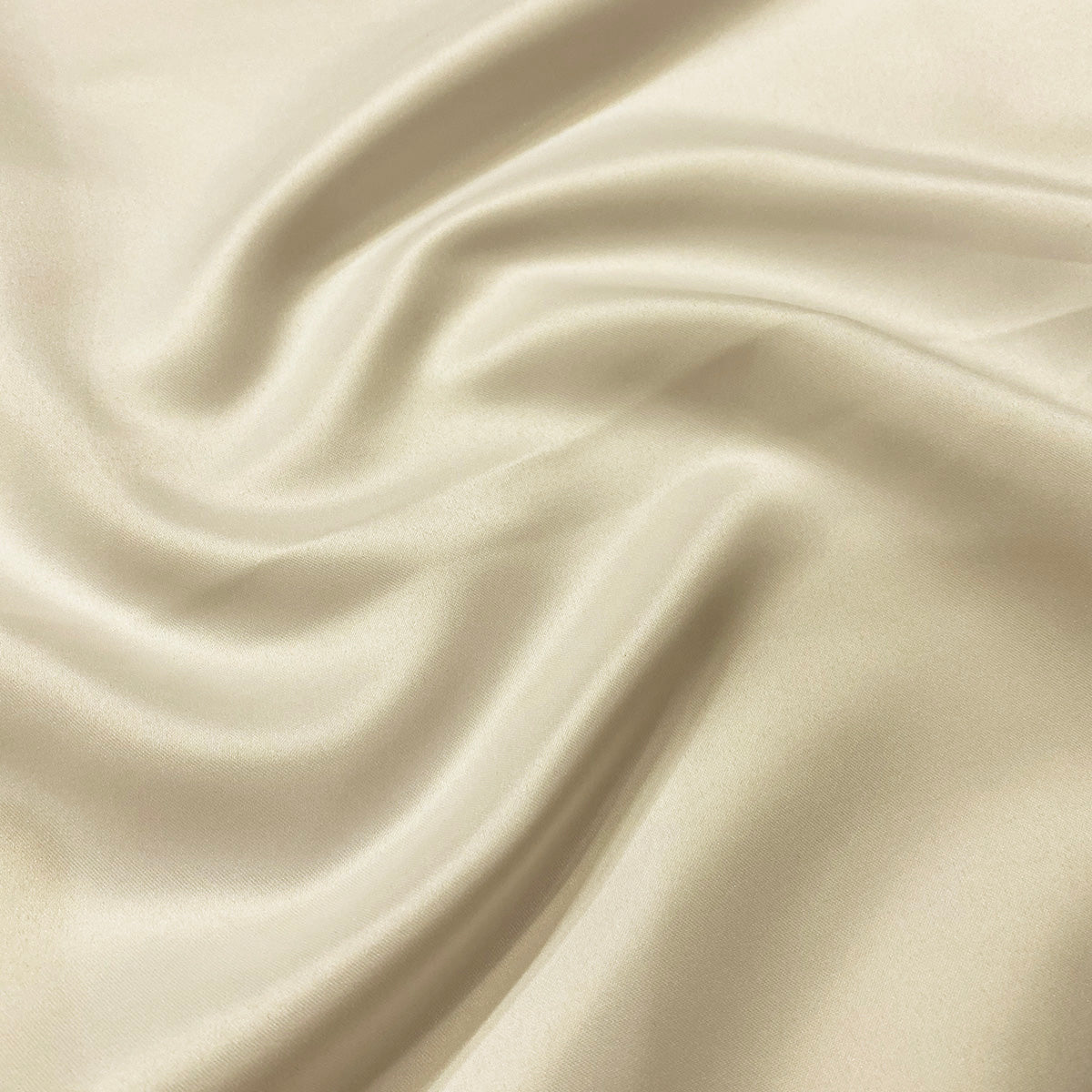 Ivory 1111