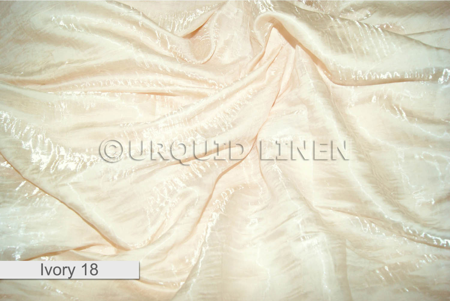 IVORY 18