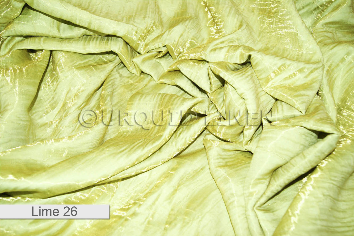 LIME 26