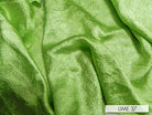 LIME 37