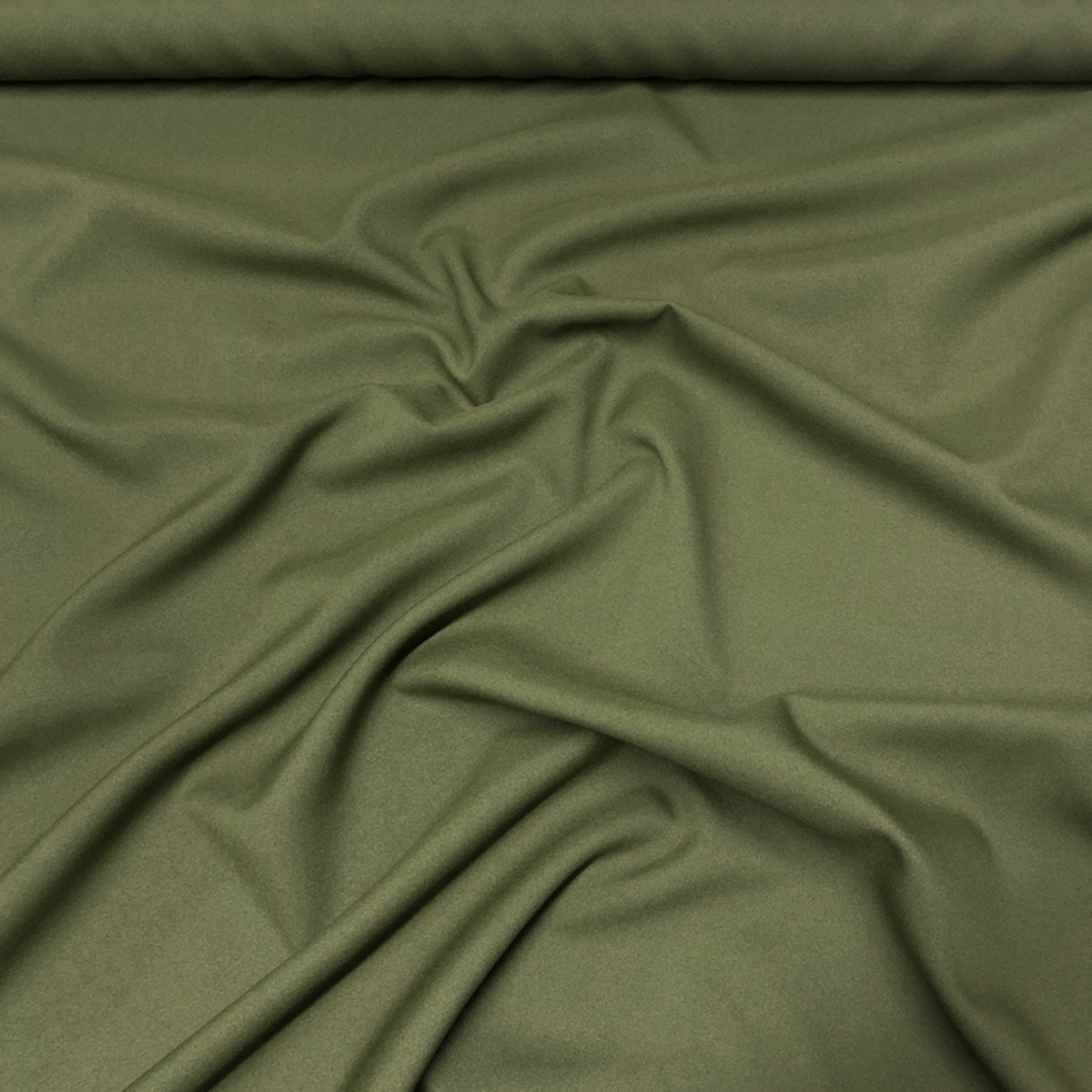 Olive 1335