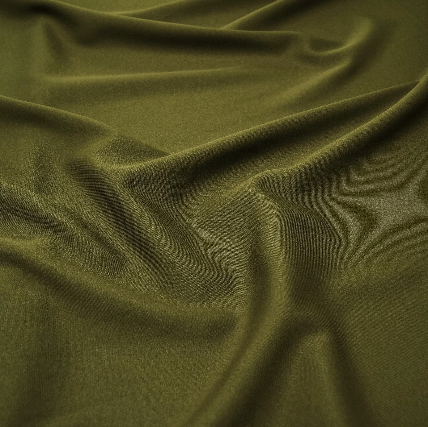 Olive 502
