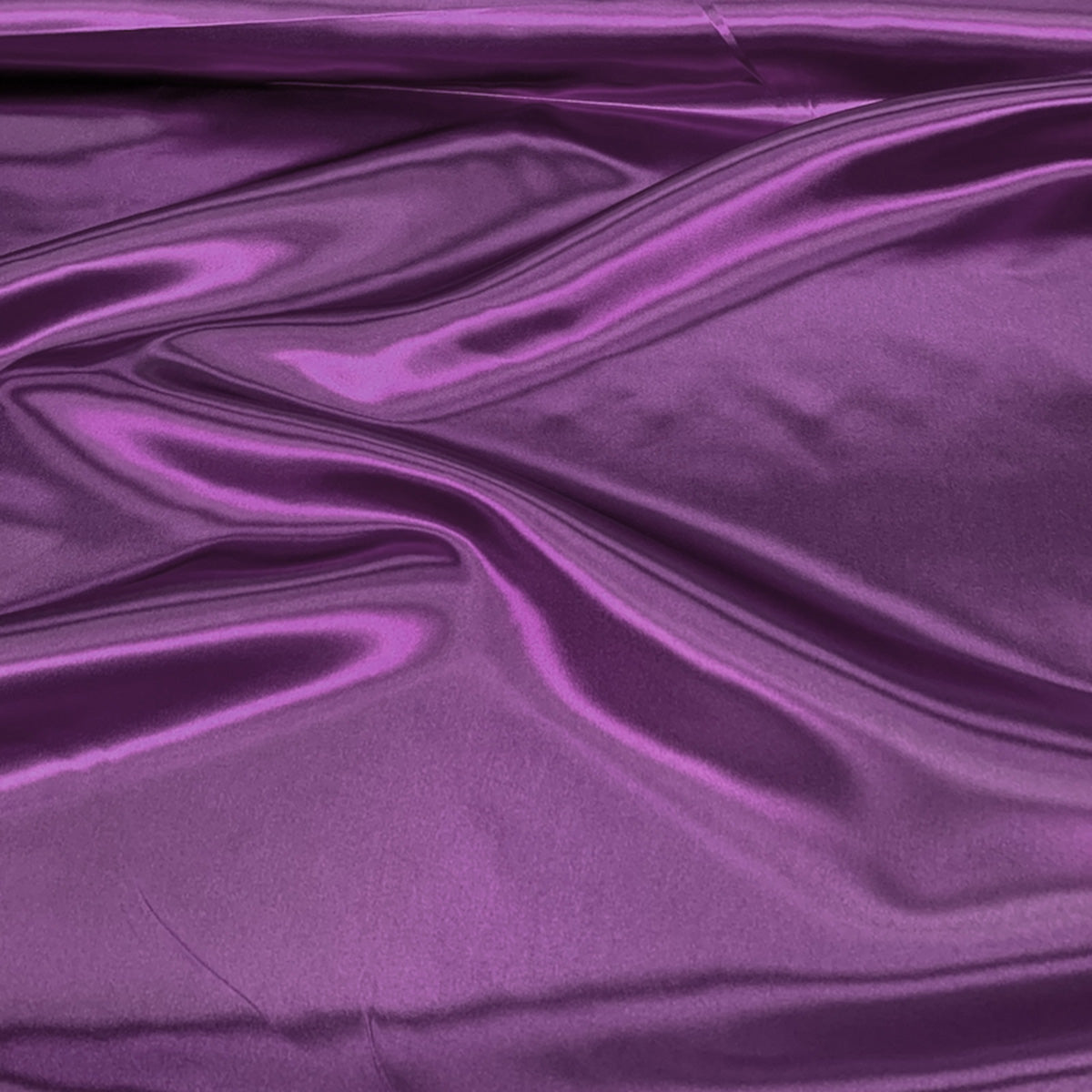 Plum 555