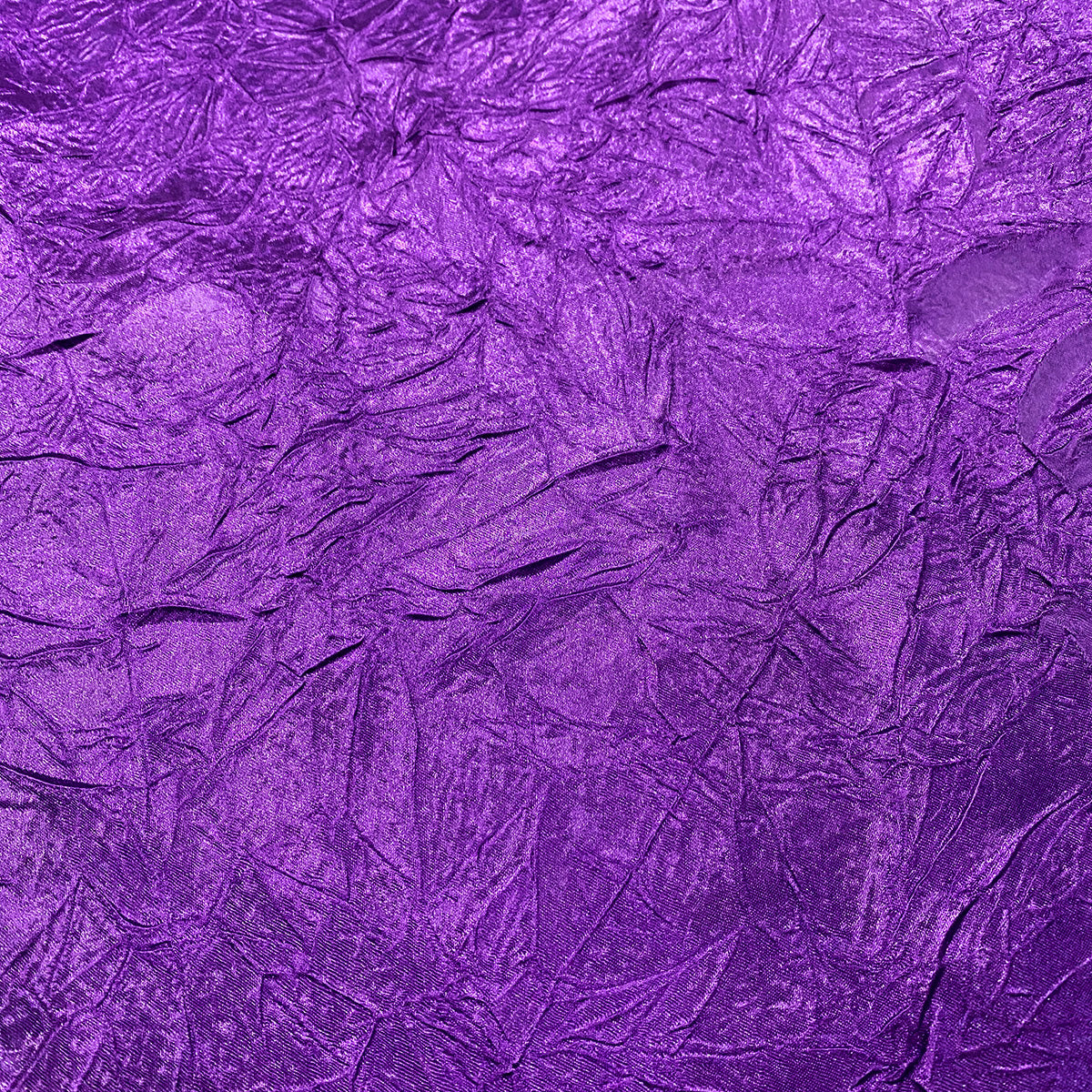 Plum 555