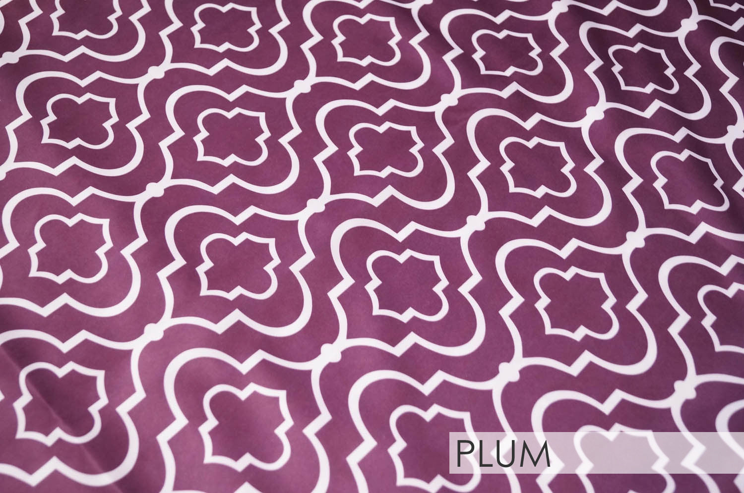 PLUM