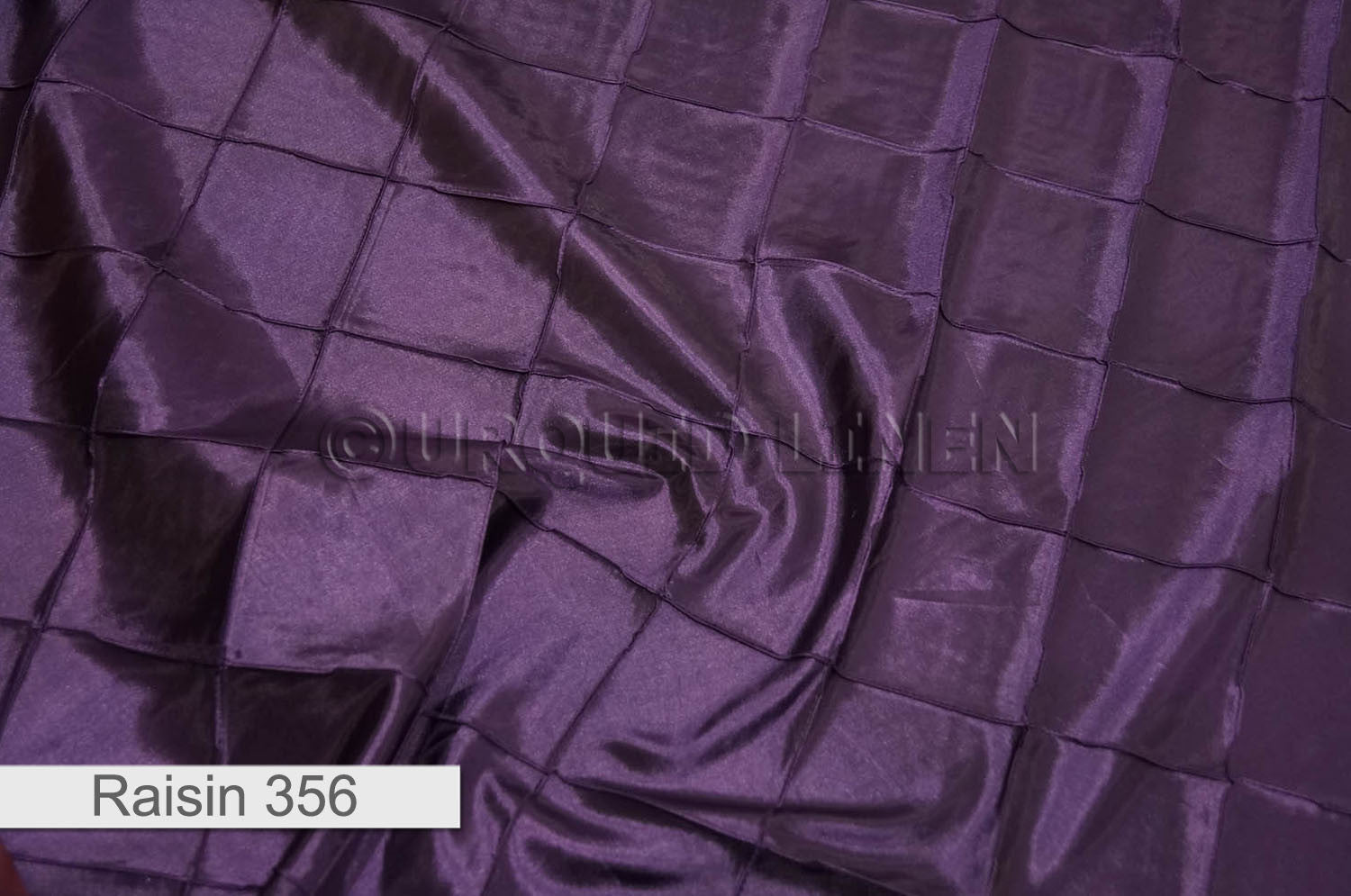 RAISIN 356