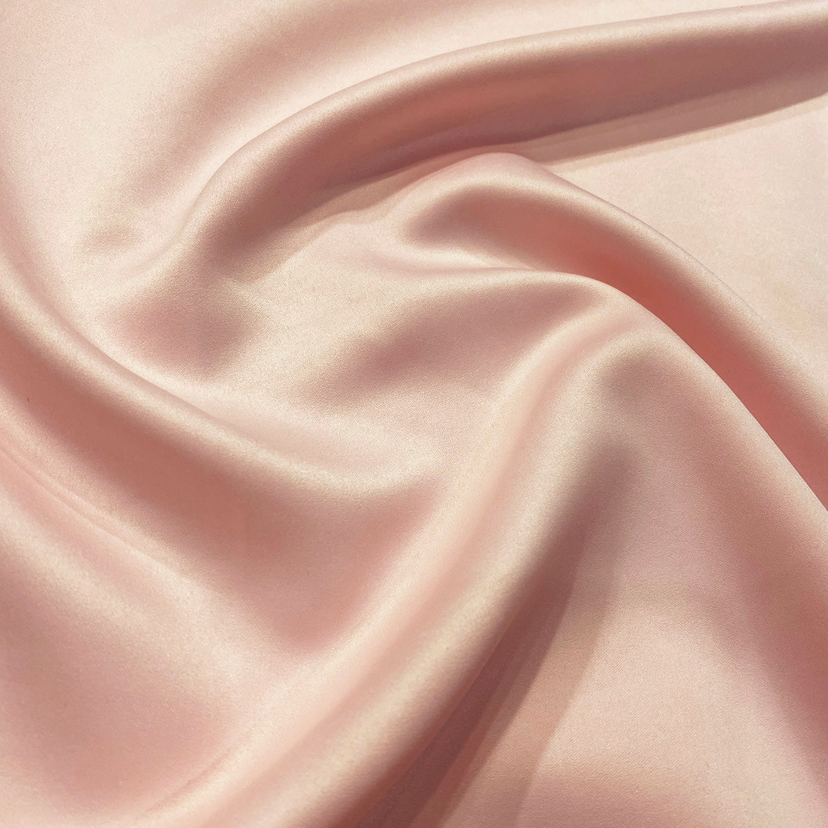 Rose Petal 1900