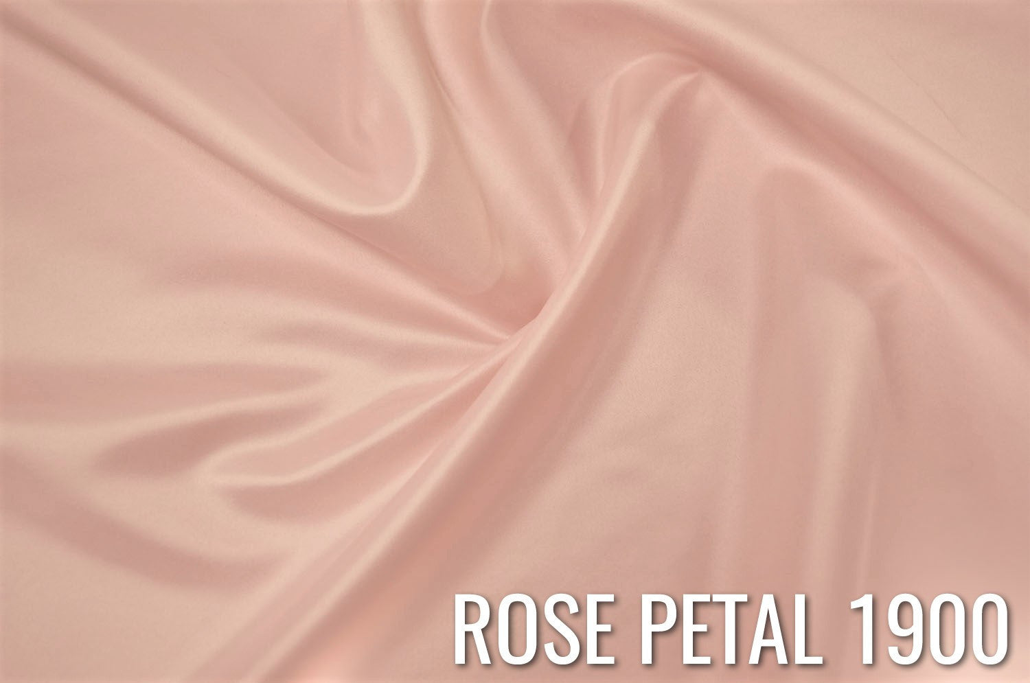 ROSE PETAL 1900