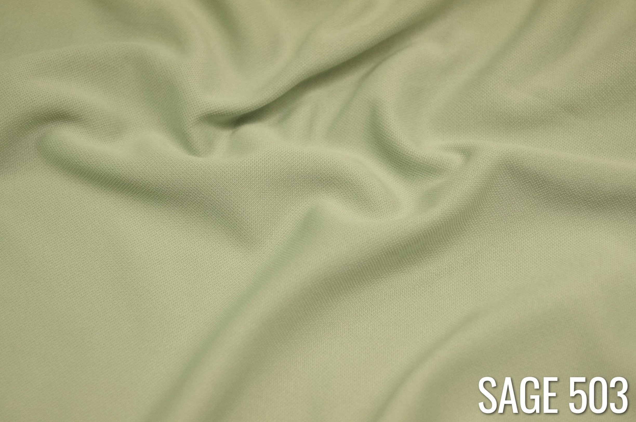 SAGE 503
