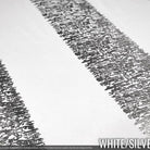 WHITE/SILVER